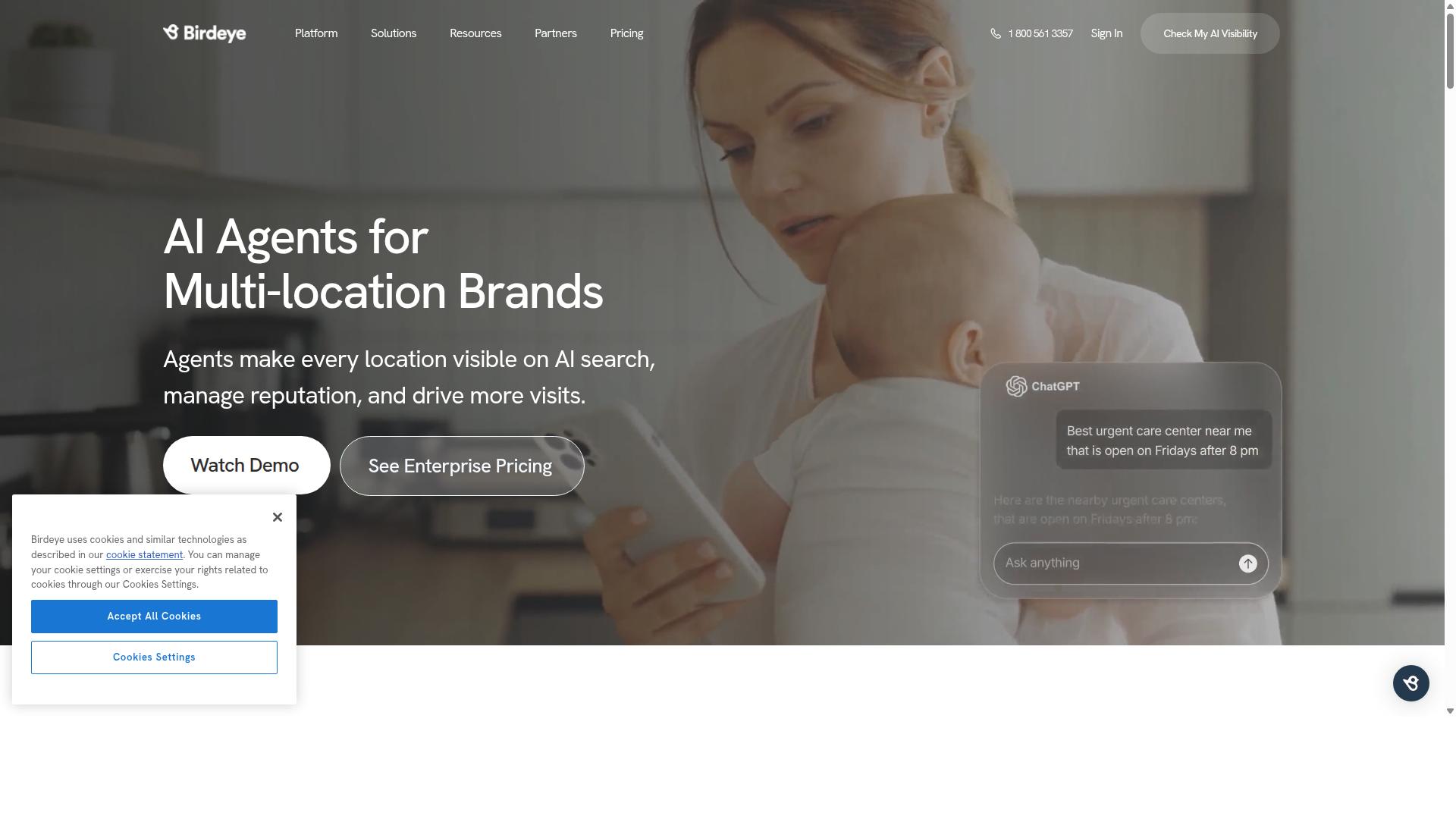 Birdeye website